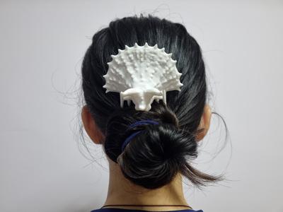 Jurassic Dinosaur Hair Comb – Triceratops Edition