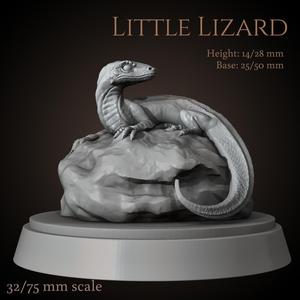 Little lizard