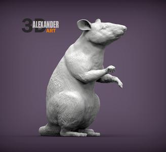 African Giant Pouched Rat 3D print model