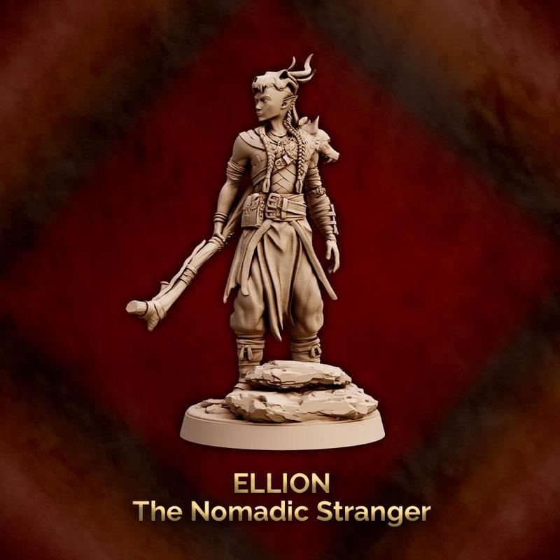 Ellion - The Nomadic Stranger - Druid