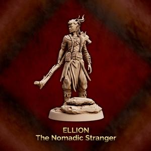 Ellion - The Nomadic Stranger - Druid