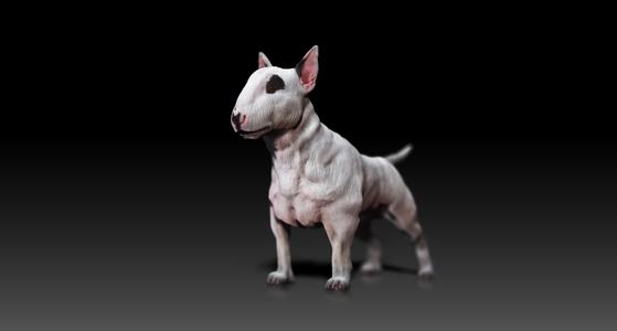 Bull Terrier - DOG BREED - CANINE -3D PRINT MODEL