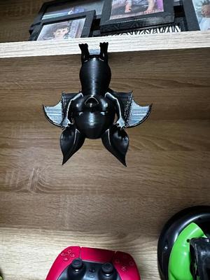 Cute sleeping bat hanging down from ceiling/shelf   