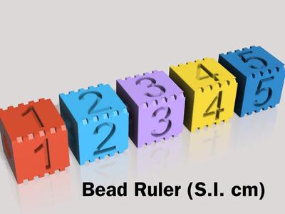 Bead Ruler (S.I. cm)   