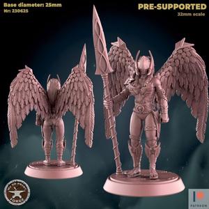 Valkyrie on guard