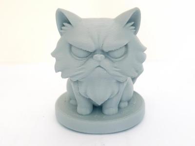 Angry Persian Cat