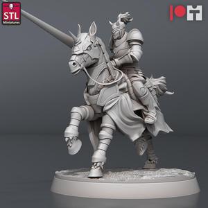 Jousting Combatant C