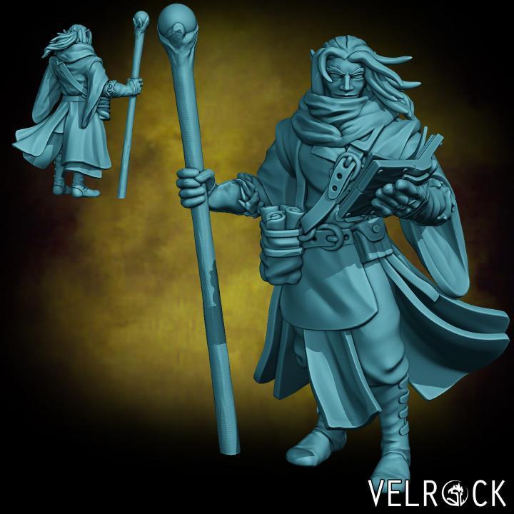 Elf Wizard (PRESUPPORTED)