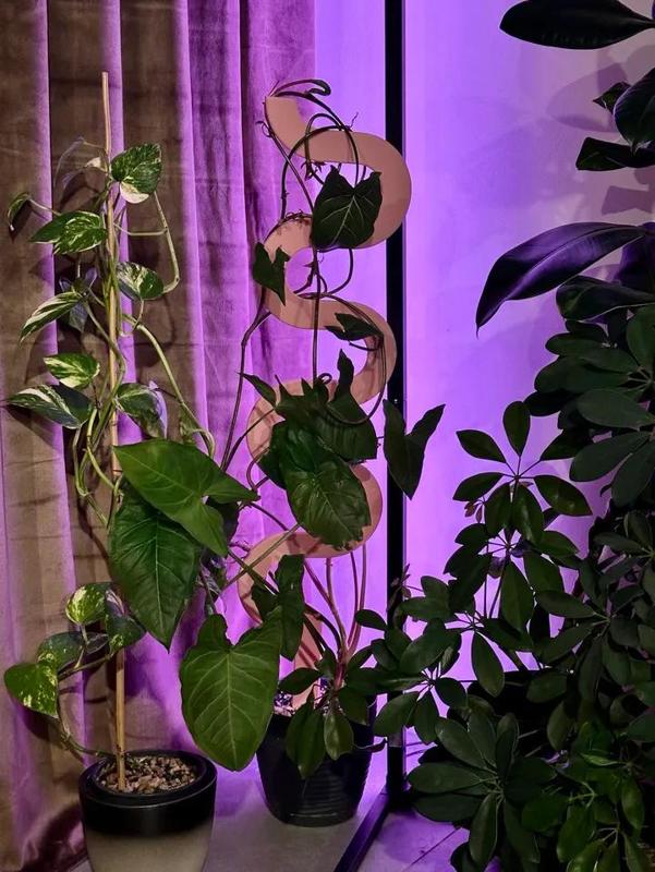 Spiral Plant Stake / Plant Support   