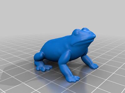 Tree Frog