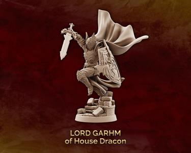 Lord Garhm of House Dracon - Human Paladin