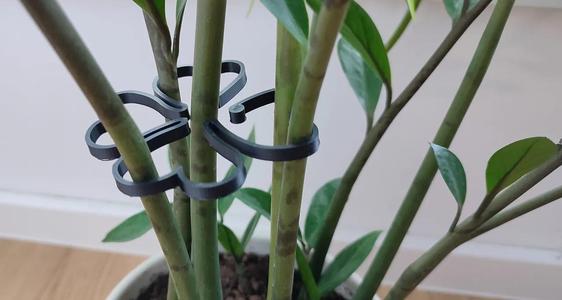 Simple flower holder   