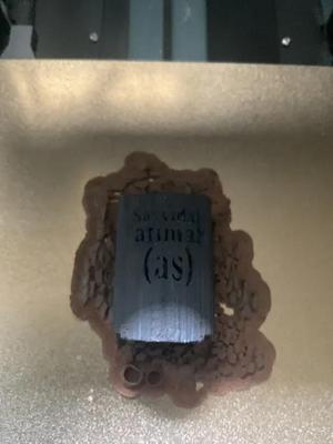 Sayyidah Fatima Grave   