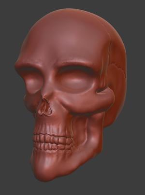 skull