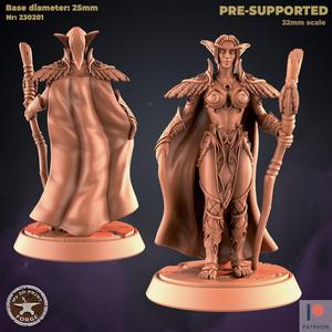 Female Druid Sentinel