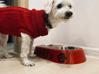 Držiak na misky - Bowl holder   