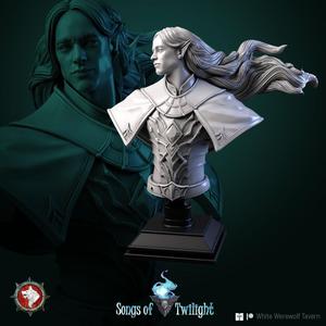 Drow Warlord bust pre-supported