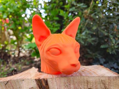 Sphynx cat head statue