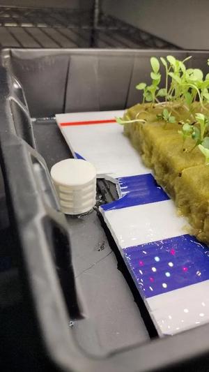 3/8" Hydroponic Ebb and Flow Spout   