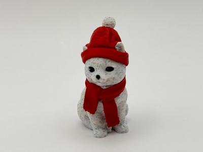 Winter Kitten
