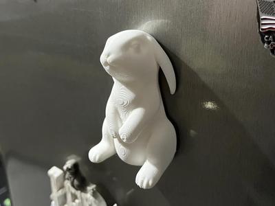 Easter Bunny Magnet   