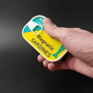 A can of magnetic sardines
