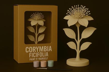 Red Flowering Gum – Paint-It-Yourself   