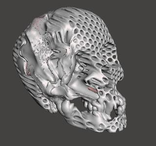 Distorted Skull Parametric