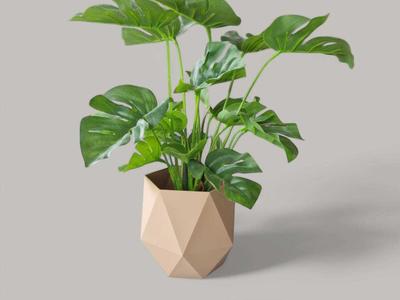 Diamond Planter the Cubical