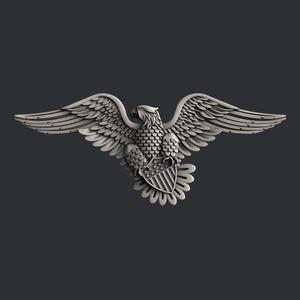 USA Eagle
