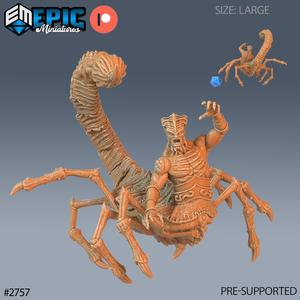 Scorpion Demon / Arachnid Devil Hybrid / Evil Poison Humanoid / Wild Southern Army / Hell Encounter