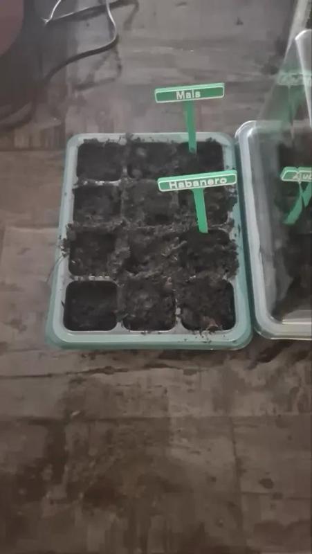 Garden Plant Label Sign (Customizable)   