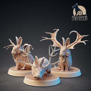 Jackalopes