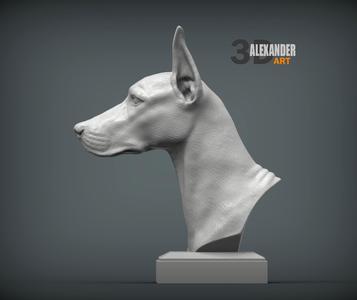 Doberman bust 3D printed model