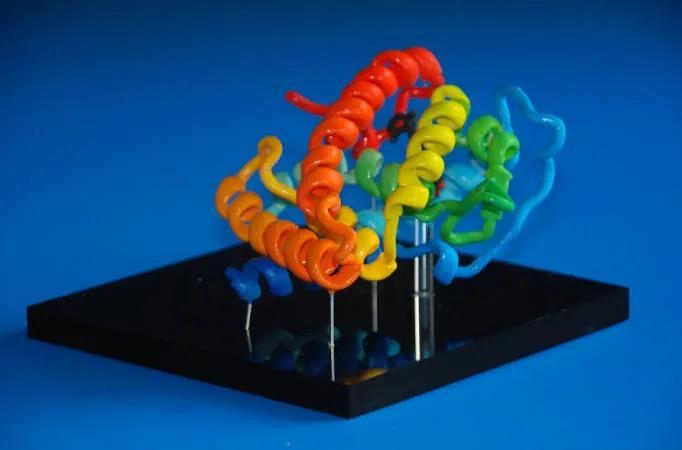 Structure of protein   