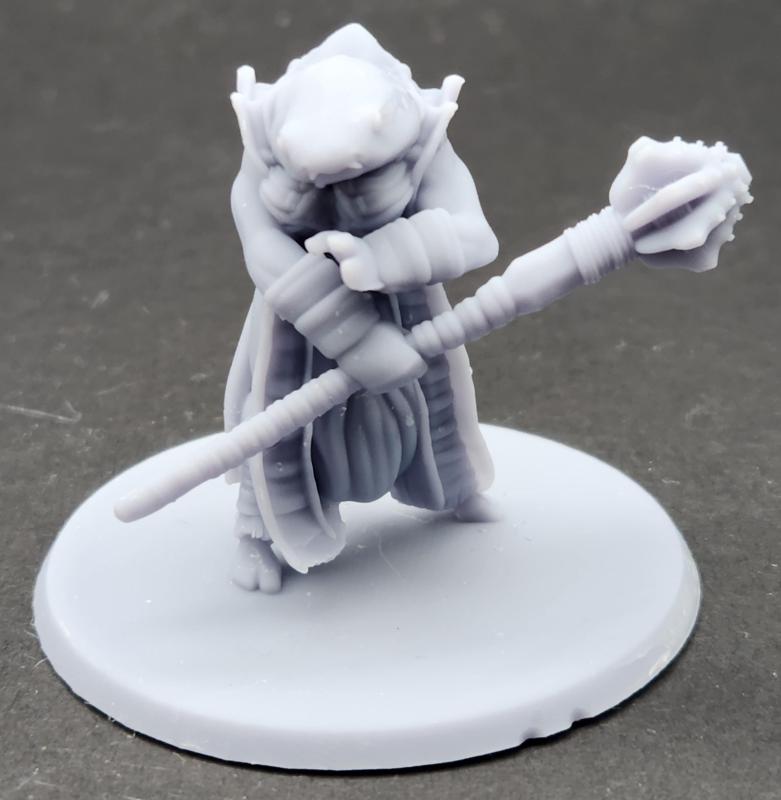 Selachian - Nurse Shark Cleric FEMALE