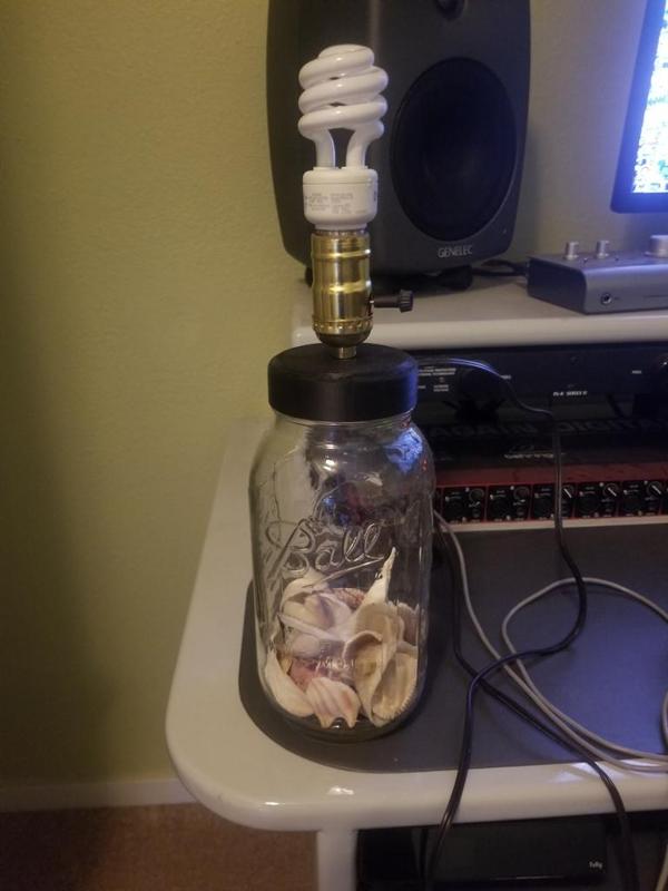 mason jar canning lid lamp adapter