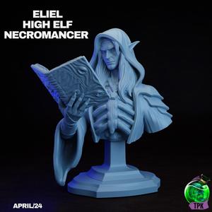 Eliel High Elf Necromancer