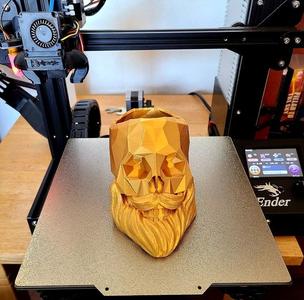 Barber Skull