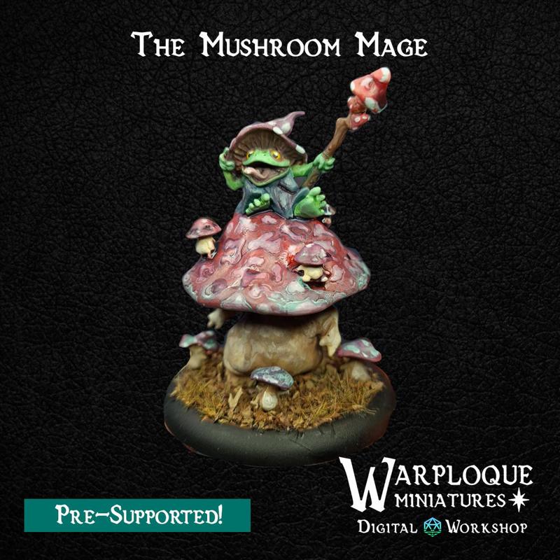 The Mushroom Mage