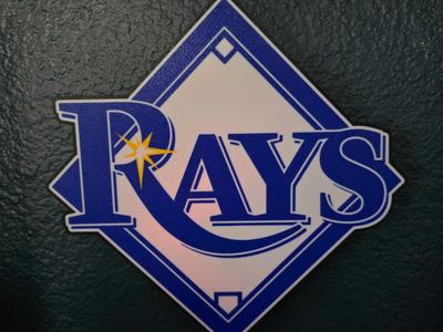 Tampa bay Rays interactive lightbox