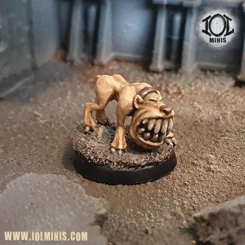 The Gnasherhound
