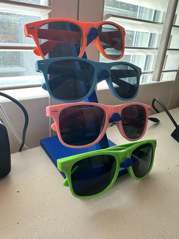 Sunglasses Holder for 4 Glasses