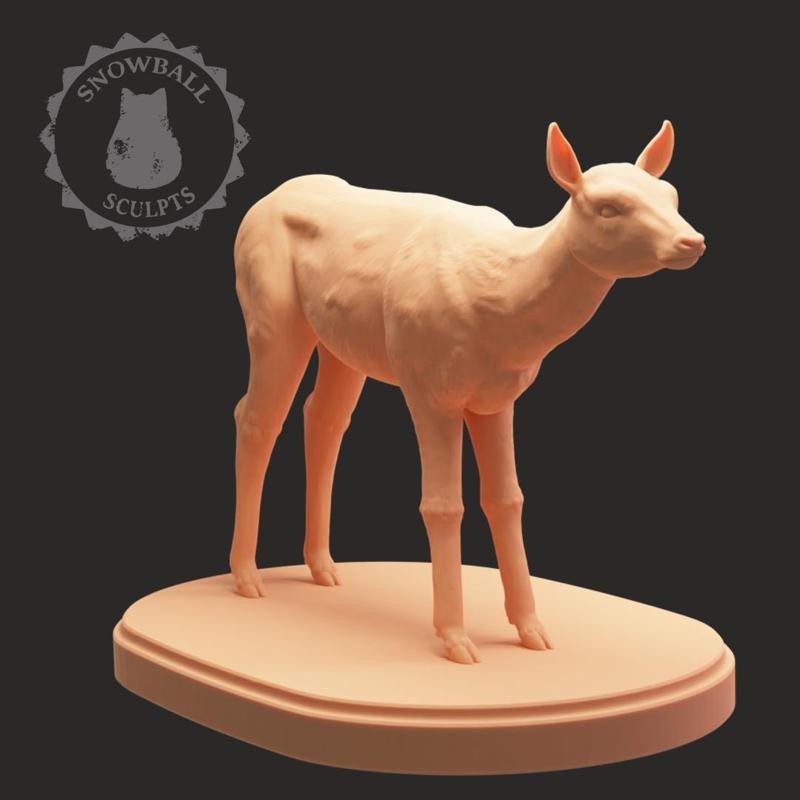 Doe Mini