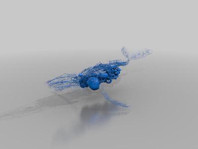 Atomic Heart Whale with Organs