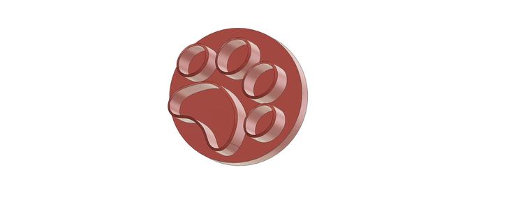 Cat and dog paw print