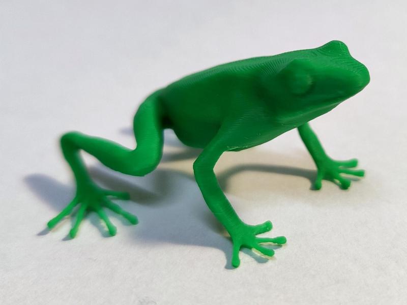 Poison Dart Frog Pumilio