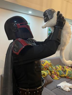 Mandalorian Cat Helmet / Cat Mask Halloween