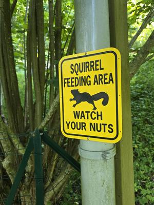 Squirrel Feeding Area - Sign