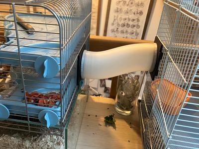 zoolux tube hamster mouse rodents cage